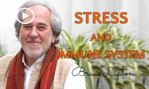 استرس سیستم ایمنی را ضعیف میکند